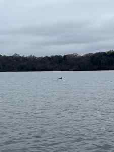 IMG_5211.jpeg