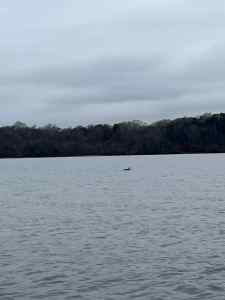 IMG_5213.jpeg