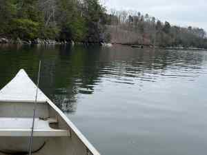 IMG_5220.jpeg