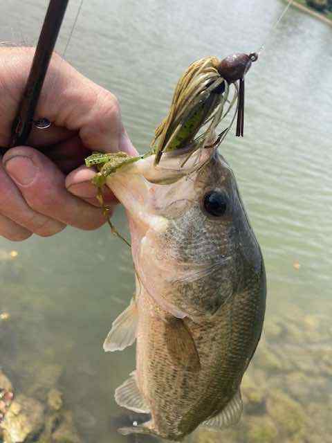 Lure choice for ponds - Fishing Tackle - Bass Fishing Forums