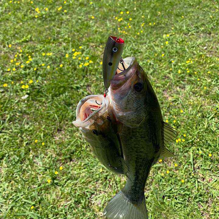 IMG_2024-04-24-230258.jpeg.77590c02636f792cf9e4e5ea80804a2e.jpeg