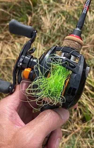 What's the Worst You've Ever Backlashed a Baitcaster? - Fishing Rods,  Reels, Line, and Knots - Bass Fishing Forums
