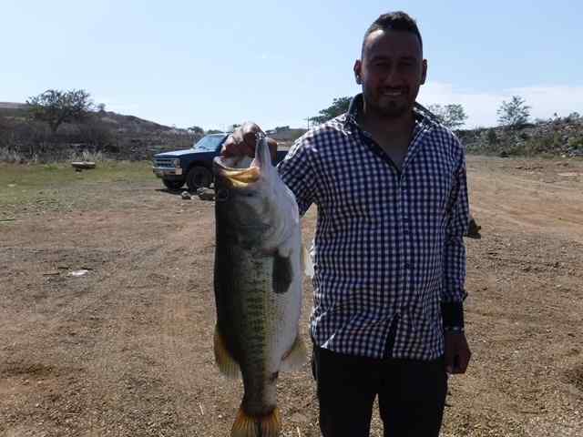 bass.JPG.bd12f6800ec9cf95964a19d90721a0c3.JPG