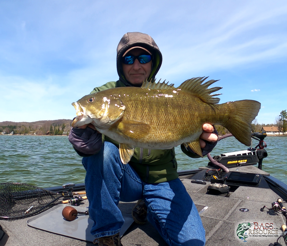 large.1stbass5.02cleanbr.png.881dfb89ae8a1075928b04a27ea63670.png
