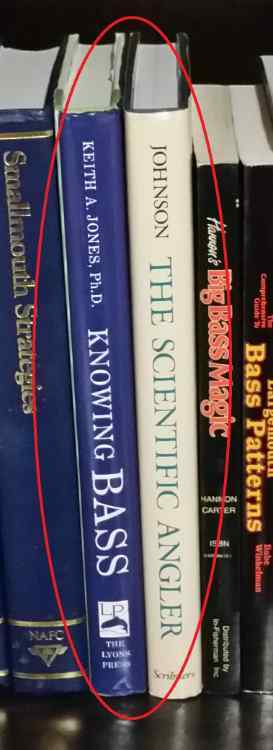 recommendedReading.jpg.932ea3bde1307095b7bea6cec96364db.jpg