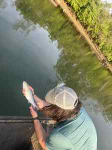 IMG_5639.jpeg