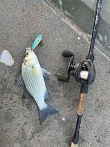 IMG_5643.jpeg