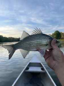 IMG_5727.jpeg