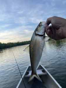 IMG_5728.jpeg
