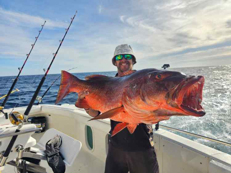 snapper2024.jpg.6bd818fc0ddffa3c3d0343486aeca3a3.jpg