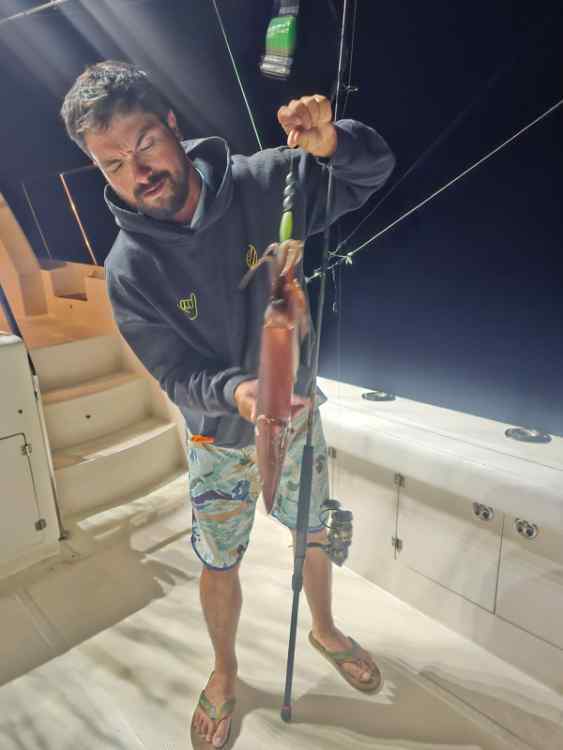 squid.jpg.651f382c550a6a740c8a1bfbb34be92f.jpg