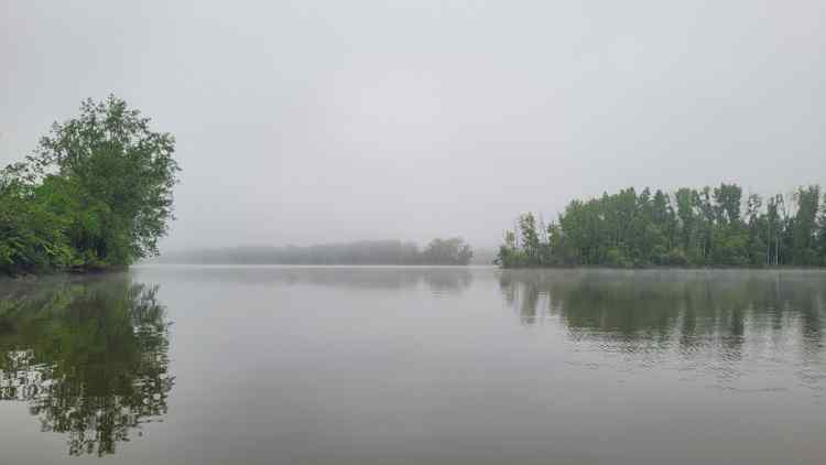 20240521_Foggy1.jpg.d3c298583c7d9533a72f926c2ecfed17.jpg