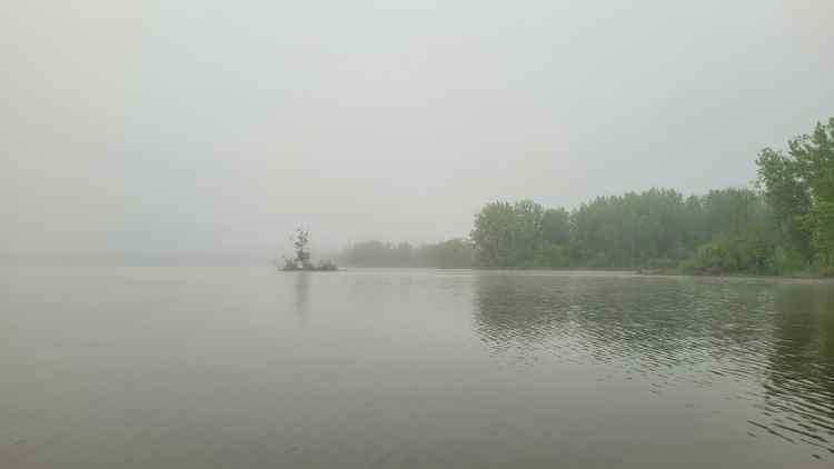 20240521_Foggy2.jpg.d2aee96e3a6bef84d6230b0284dacfda.jpg