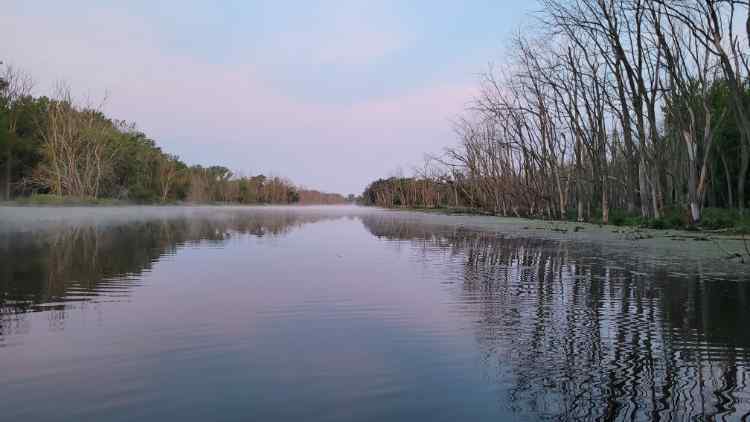 20240524_Bayou1.jpg.332724b9367d8e2ec9f3b6c80e02a513.jpg