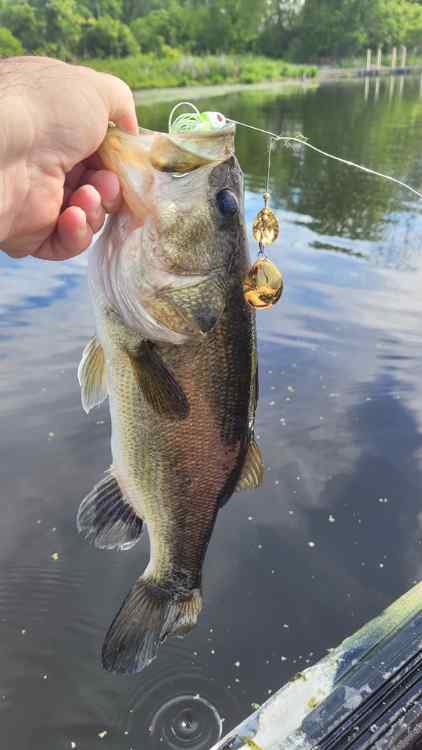 20240529_Bayou2_LastCast.jpg.7a54dd05ee2d6582d7121cb17198a416.jpg