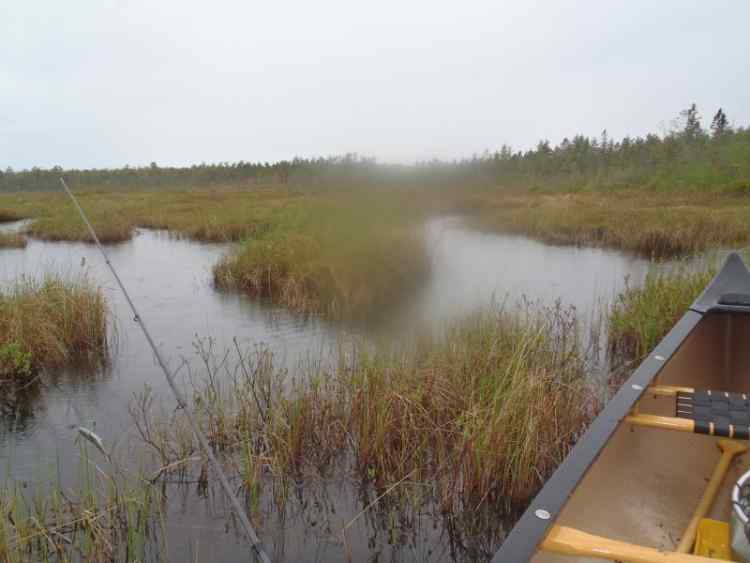 4.jpg.e5c593e1f3e1541d4ebb2f14a22dac4a.jpg