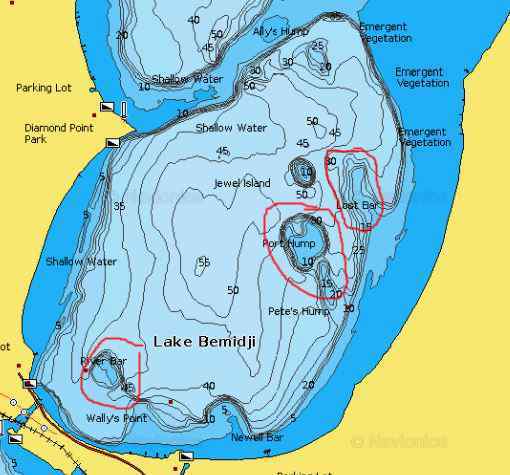 BemidjiSouthBasin.JPG.43786e6020b11cfd2b82f9bc796da907.JPG