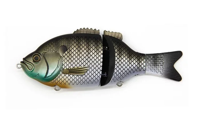 ExplorerGillbluegill_1200x1200.webp.976a949623285698ec69caf3aadecf6a.webp