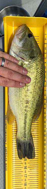IMG_2024-05-25-170716.jpeg.78bd17df48c25d8d7922a6a58d890213.jpeg