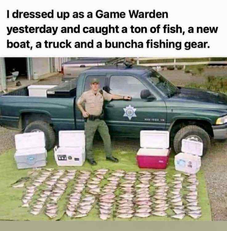 image.jpeg.ffa7f11079a8b450b558038180494576.jpeg
