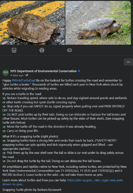 image.png.8403031a09cb22b42a647cd8a614fce4.png