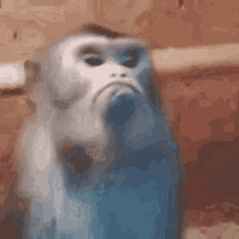 image000000.gif.7afa7b62c753ee0d2bc299753993d3ac.gif