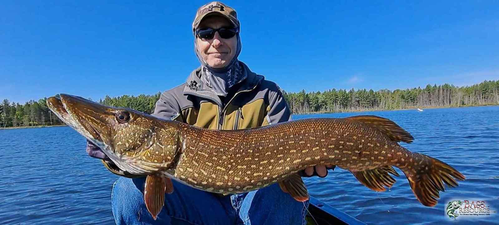 large.BigPike.jpg.ade8069930d2fbdc1ddde7690fe7acfb.jpg