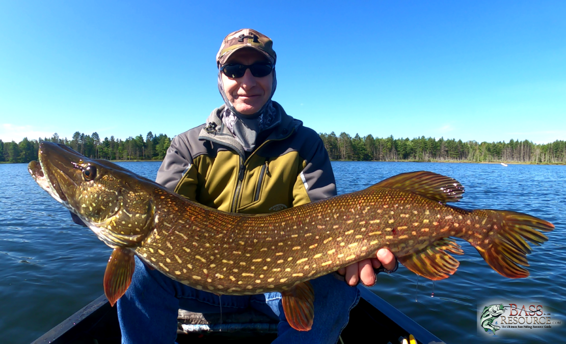 large.BigPikeclean2br.png.a50ce72fff6e2505e11997a52d9f3b54.png