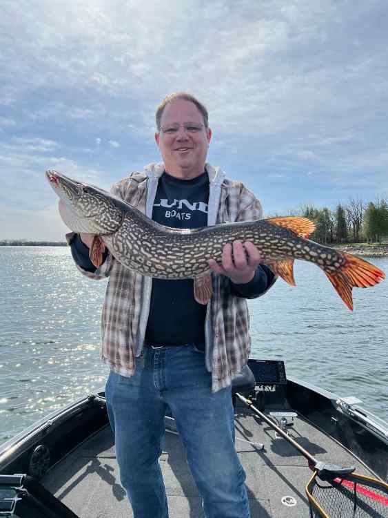 pike.jpeg.d186383ed7fd0308ad23cd68067dc672.jpeg