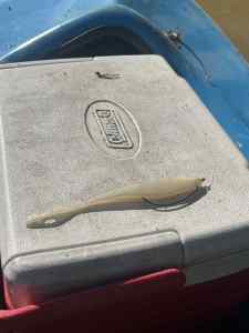 IMG_6084.jpeg