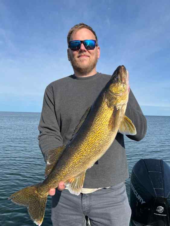 walleye.jpeg.823bc7055dbc7cd08bc2db2ae59fb551.jpeg