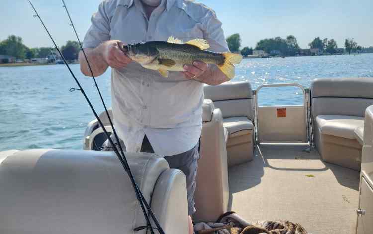 20240620_173345_gunfish.jpg.a3a7d83e4f2fdc9c40f3fa3a440a6a50.jpg