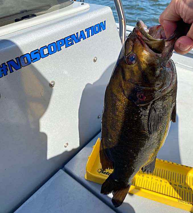 IMG_2024-06-15-163644.jpeg.4c456b87e2e1c05724c02359af7cfcd9.jpeg