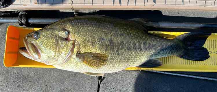 IMG_2567.jpg.e2bde9c3a8fea7329a328201d5edba1a.jpg