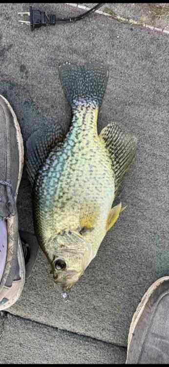 IMG_8083.jpg.b958ca6bfcaf4191e0794a610f81b3b1.jpg