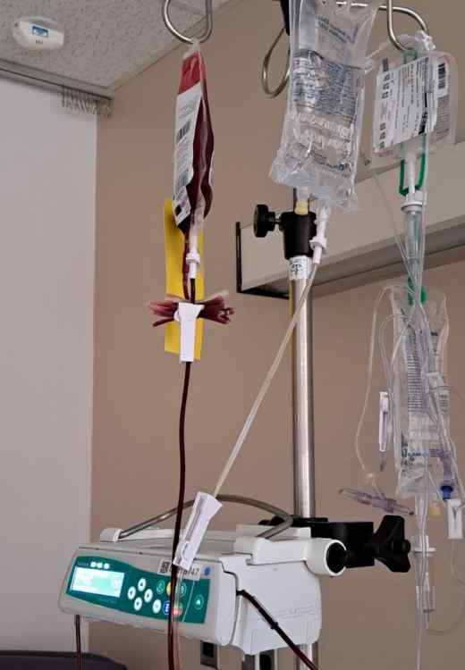 Meds1.jpg.6b116ed95cffd8cfc64fb2deea1ab45e.jpg