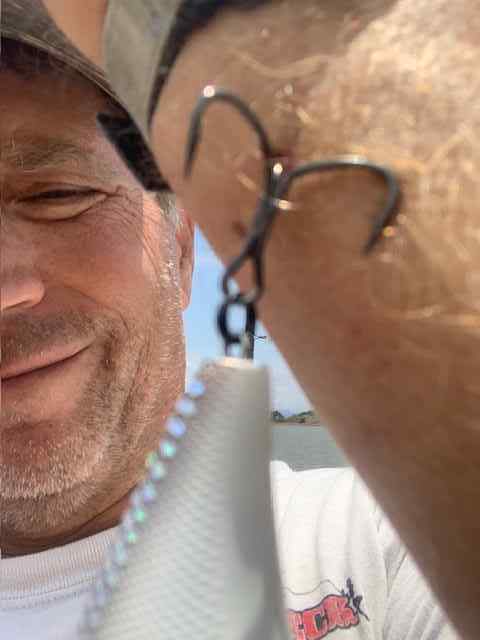 fishhook1.jpg.62e3fb1ee72c02528aa07a68085d9817.jpg
