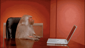 image.gif.160f3575f8032848f001c08e673fdb19.gif