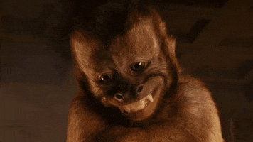 image.gif.df3868eb4973925fc0631ec5bc4efd04.gif