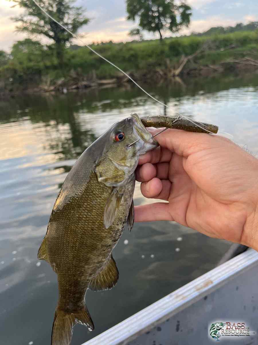 large.IMG_6846.jpeg