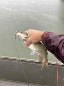 IMG_6591.jpeg
