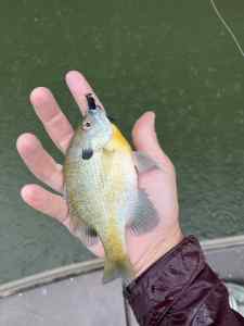 IMG_6592.jpeg