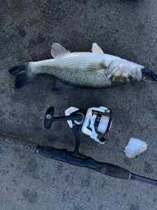 IMG_6618.jpeg