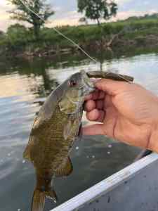 IMG_6846.jpeg