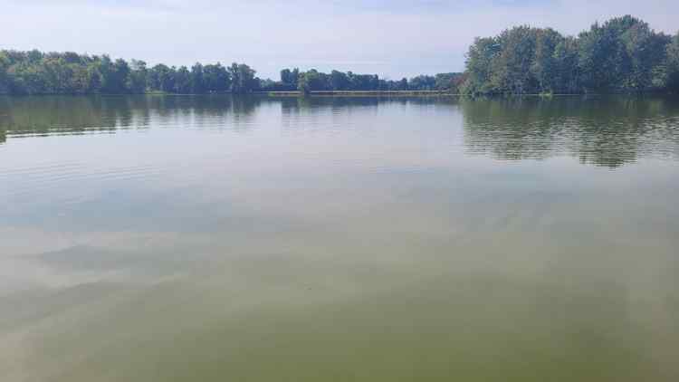 20240709_Lake6.jpg.79c309c4de0c7a395495615043df39c2.jpg
