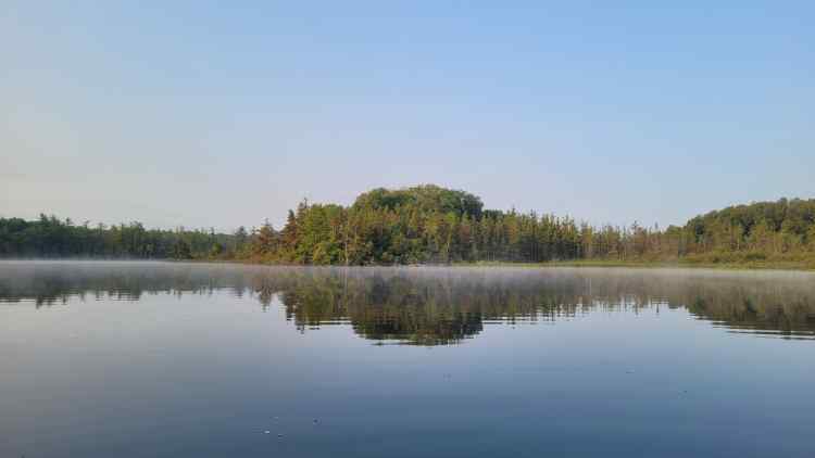 20240723_Lake5.jpg.58dc0e2de880b0ab131ce8acfaf96236.jpg