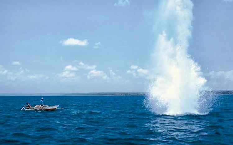 Dynamite-fishing-Alamy.jpeg.e79fca668e15f7127a36f0b8b4218c35.jpeg