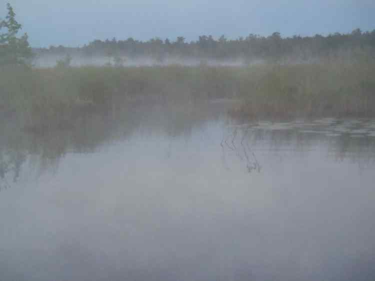 FoggyMorning.jpg.6d2069d6344f37de6d495e8f8a0979df.jpg