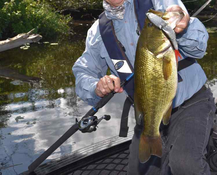 Glidebaits.jpg.30331ea4d608e8b0e9a42e509daaee7b.jpg