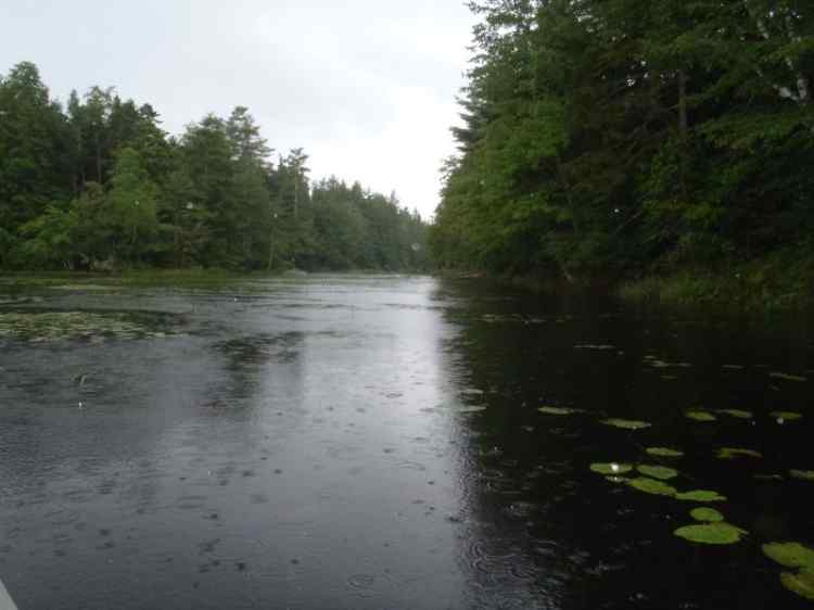 QuietBay.jpg.c1b0d1a2c2fd47f15a5a7000fbf8028b.jpg